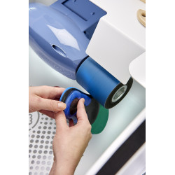 plantilla puliendose