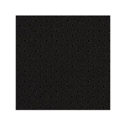 EVAGREEN 40 MP PORTADA