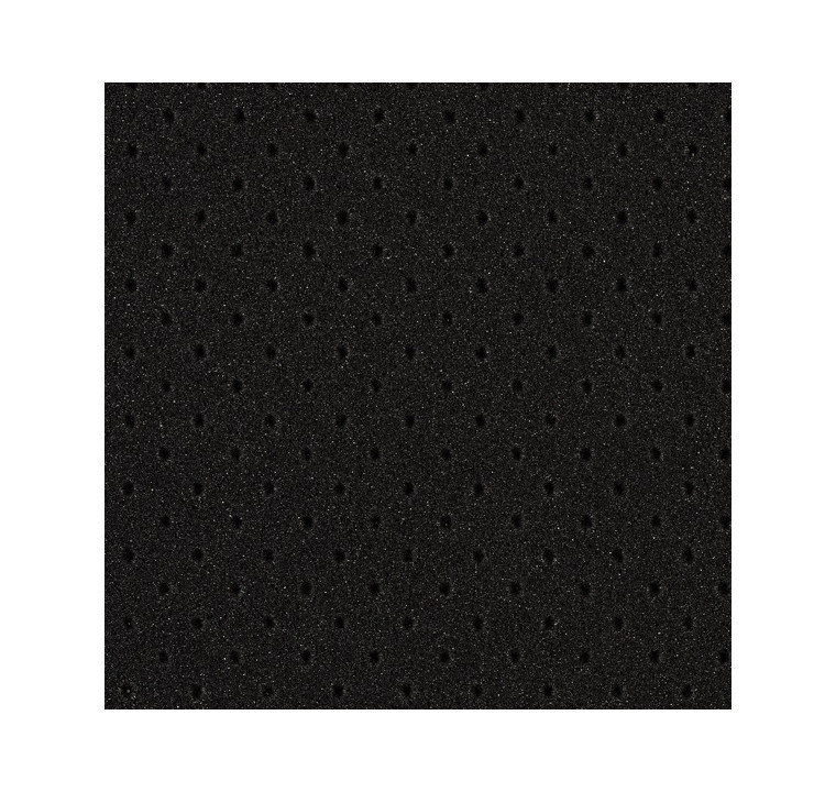 EVAGREEN 40 MP PORTADA